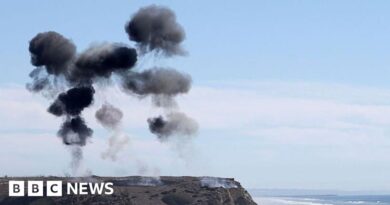 Vance celebrates US Marines anniversary in California with live artillery demonstration