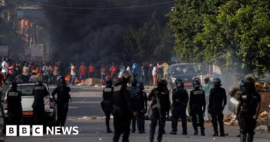 Violent protests flare in Cameroon as results due in contested election