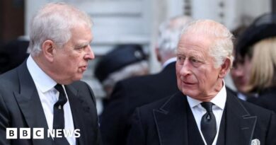 Virginia Giuffre brother calls on King to strip Andrew of prince title
