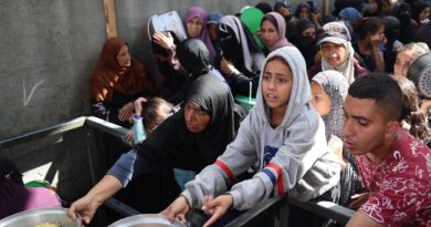 WFP says food supplies to Gaza below targets, urges more crossings to open