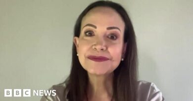 We're grateful for what Trump is doing for peace, Nobel winner Machado tells BBC