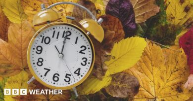 A stock photo of an old-fashioned analogue yellow alarm clock sitting on a pile of yellow, brown, green and red fallen leaves