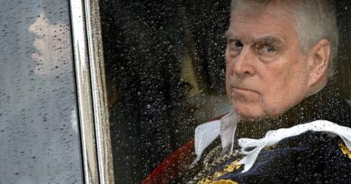 Why UK’s Prince Andrew lost his royal title
