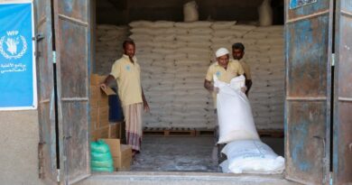 Yemen’s Houthis detain 20 UN staff in latest raid
