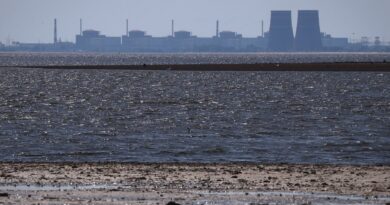 Zaporizhzhia nuclear plant repairs begin in Ukraine as ceasefire zones set