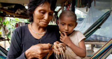 ‘On our own territory’: Colombia’s last nomadic tribe fights to return home