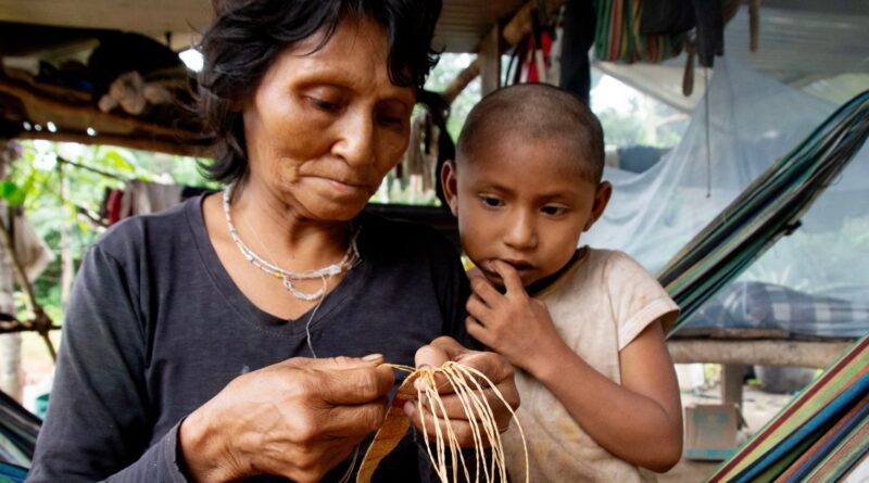 ‘On our own territory’: Colombia’s last nomadic tribe fights to return home