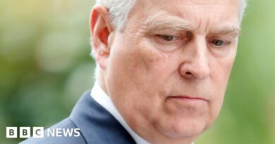 Andrew should answer Jeffrey Epstein questions in US, Democrats say