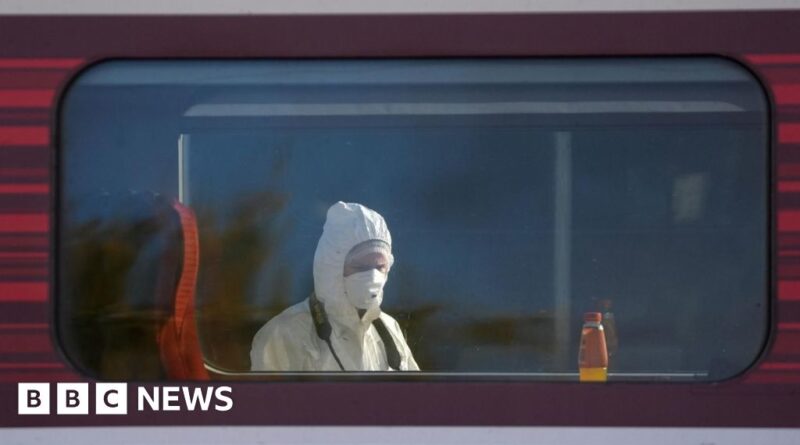 What have eyewitnesses said about Huntingdon train stabbings?