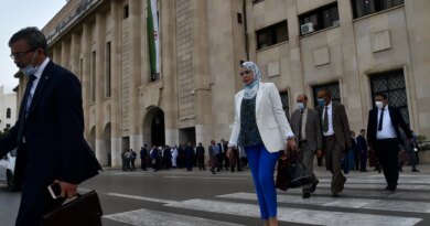 Algeria bill seeks to criminalise French colonial rule: What to know