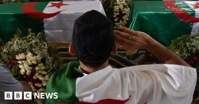 Algeria's parliament approves law declaring France's colonisation a crime