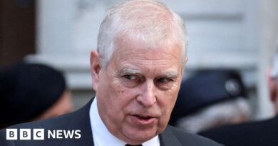 Andrew and Jeffrey Epstein is the story that will not go away