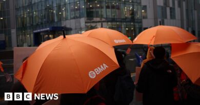 BMA warns of flu 'scaremongering' ahead of doctor strikes