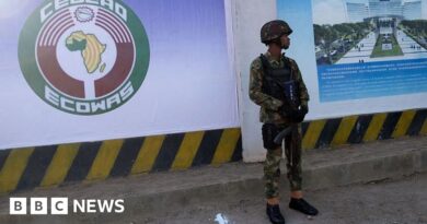 Benin coup attempt: About 200 soldiers from Nigeria and Ivory Coast deployed for 'clean-up'