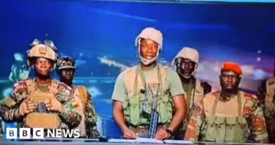 Benin coup attempt: Hunt for plotters and their hostages after Nigerian intervention