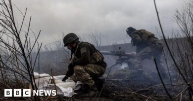 Briton who fought in Ukraine jailed for 13 years by Russia