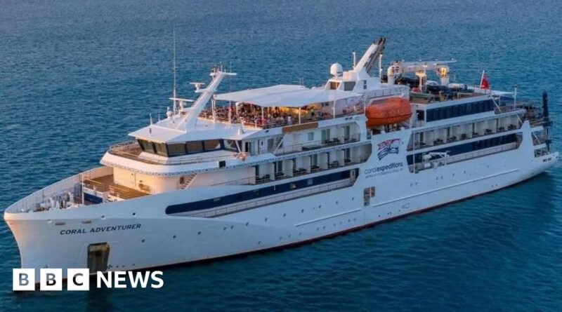 Cruise ship hits reef on first trip since leaving passenger on island