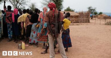 Deadly attack on kindergarten reported in Sudan