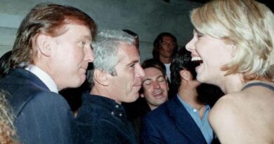 Donald Trump and Jeffrey Epstein stand together at a social event, facing a woman with short blonde hair who is laughing