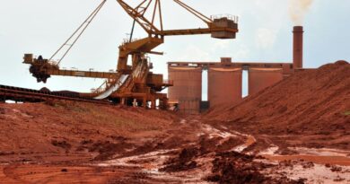 Emirates mining company challenges Guinea licence withdrawal