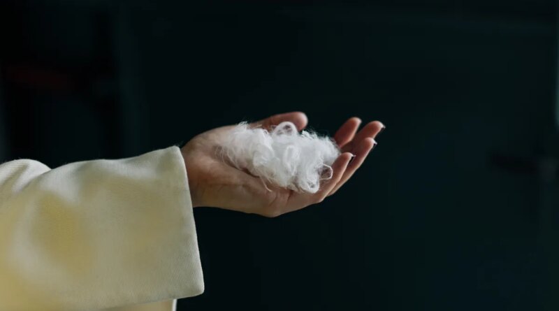 A hand holds white fibers.