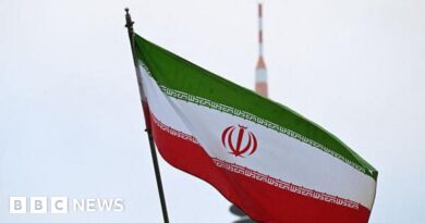 Executions in Iran more than double in 2025, IHR report says
