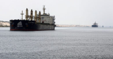 Factbox-What are shipping companies' plans for return to Suez Canal?