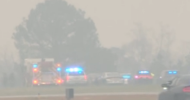 Former Nascar driver Greg Biffle believed to be among seven dead in US aircrash