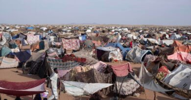 From the Andes to Darfur: Colombians lured to Sudan's killing fields