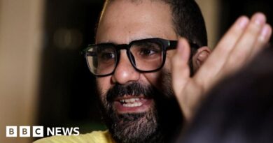 Government to review 'information failures' in British-Egyptian activist case