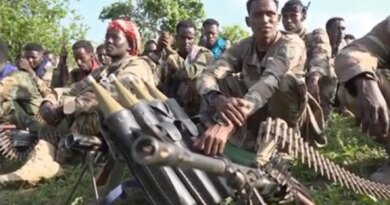 Has the fight against al-Shabab failed?