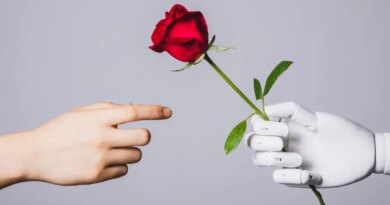 human hand reaching for red rose in robotic hand