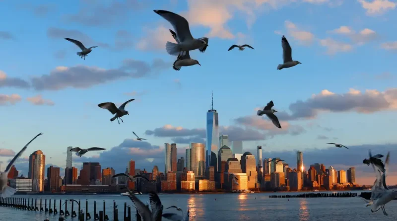 How soaring healthcare costs are changing where millionaires move to