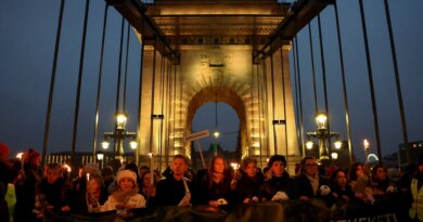 Hungarian protesters demand PM Viktor Orban quits over child abuse scandals
