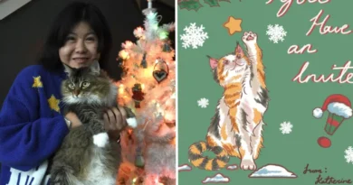 I am planning a low-budget, potluck-style Christmas party to spend time with friends without overspending