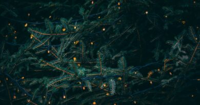 Is It Haram or Halal To Celebrate Christmas For Muslims In Islam?