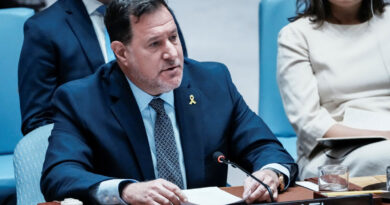 Israel defends Somaliland move at UN amid concerns over Gaza motives