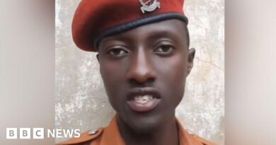 Lawrence Ampe: Uganda prison officer sacked for 'politicking' on TikTok