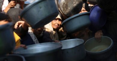 NGOs fear 'catastrophic impact' of new Israel registration rules