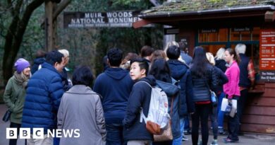 National Park Service removes free entry on Martin Luther King Jr Day and Juneteenth