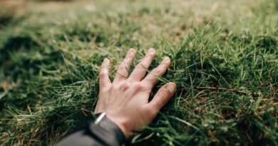hand touching grass