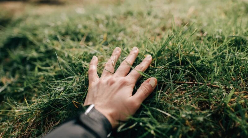 hand touching grass