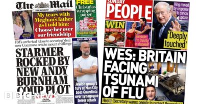 Newspaper headlines: 'Burnham coup plot' and UK faces 'tsunami of flu'