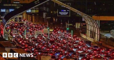 Port of Dover Christmas getaway delays due to IT issues in Calais