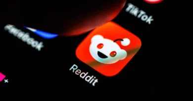 Reddit is arguing it's a 'collection of public fora' and not a social media company. Here's why.