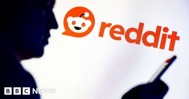 Reddit launches High Court challenge to Australia's social media ban for kids