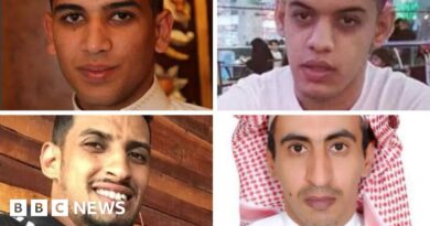 Saudi Arabia: Rights groups condemn new record number of executions in 2025