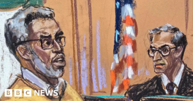 Sean 'Diddy' Combs files appeal asking for his immediate release