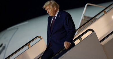 Syria monitor says US strikes killed at least five IS members