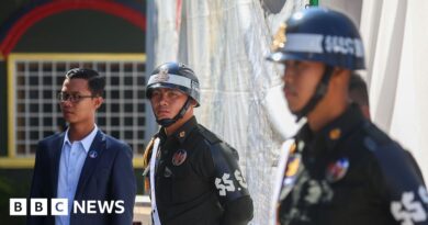 Thailand and Cambodia agree ceasefire after weeks of deadly clashes
